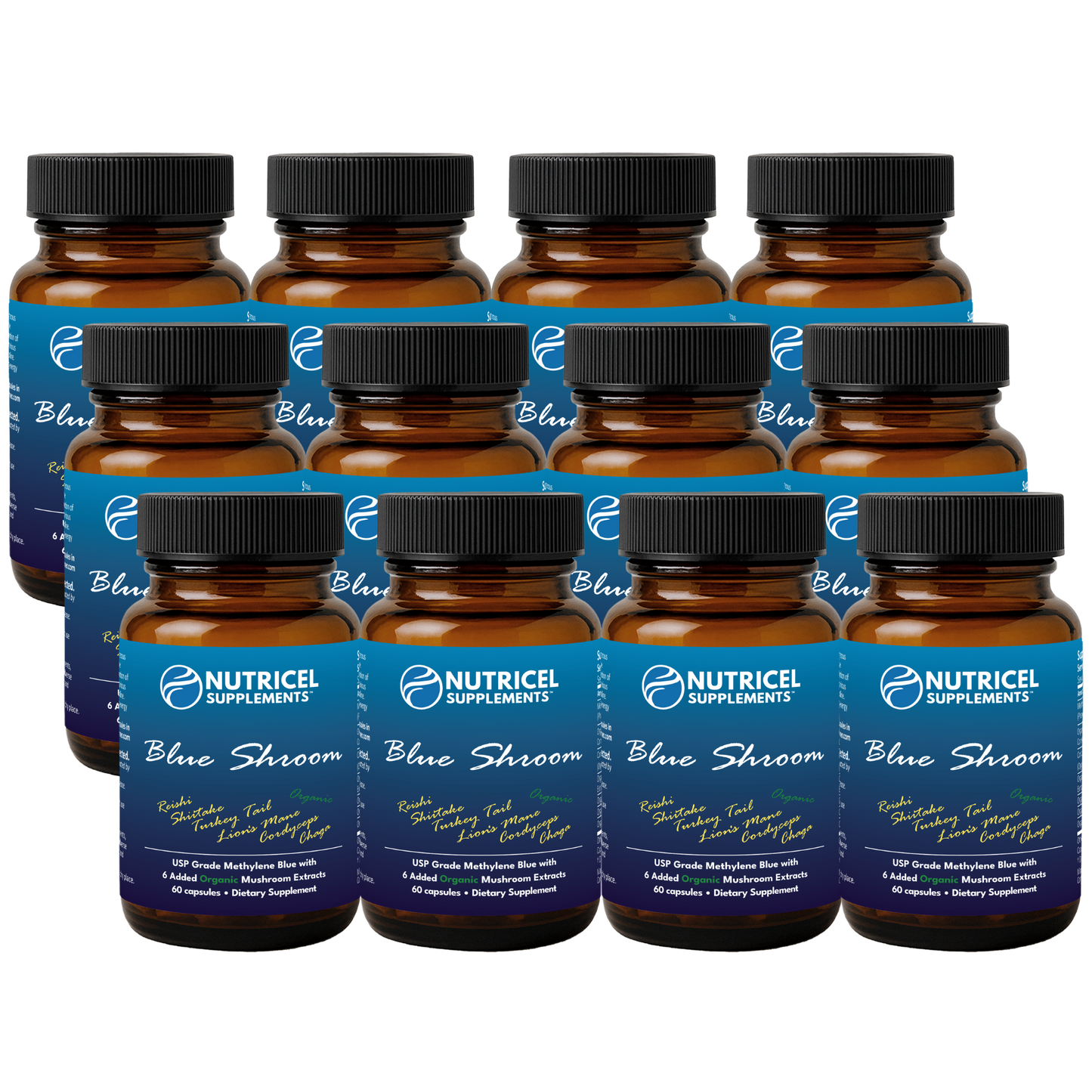 12-Pack Blue Shroom