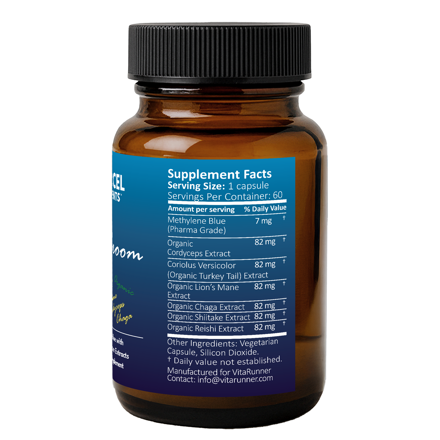 Blue Shroom | Methylene Blue Capsules with Mushroom Extracts: Lion's Mane, Reishi, Cordyceps, Chaga, Shiitake, and Turkey Tail