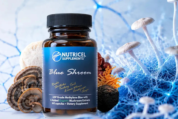 What Is Blue Shroom? Methylene Blue + 6 Mushroom Extracts, Explained