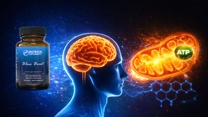 Nutricel Blue Boost methylene blue supplement bottle with human brain mitochondria ATP energy and molecular structure illustrating cellular energy support