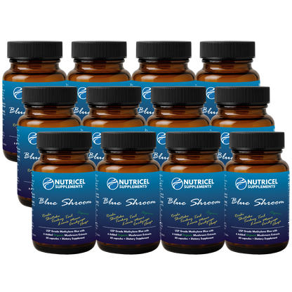 12-Pack Blue Shroom