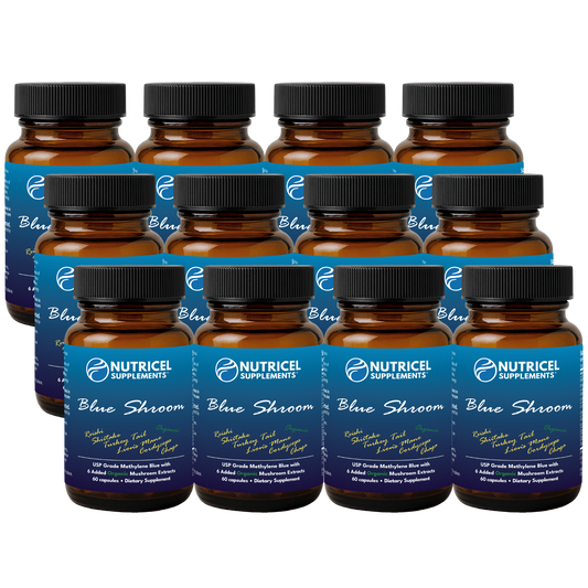 12-Pack Blue Shroom