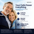Blue Boost 120 | 12mg Methylene Blue, 120 Capsules — Nutricel