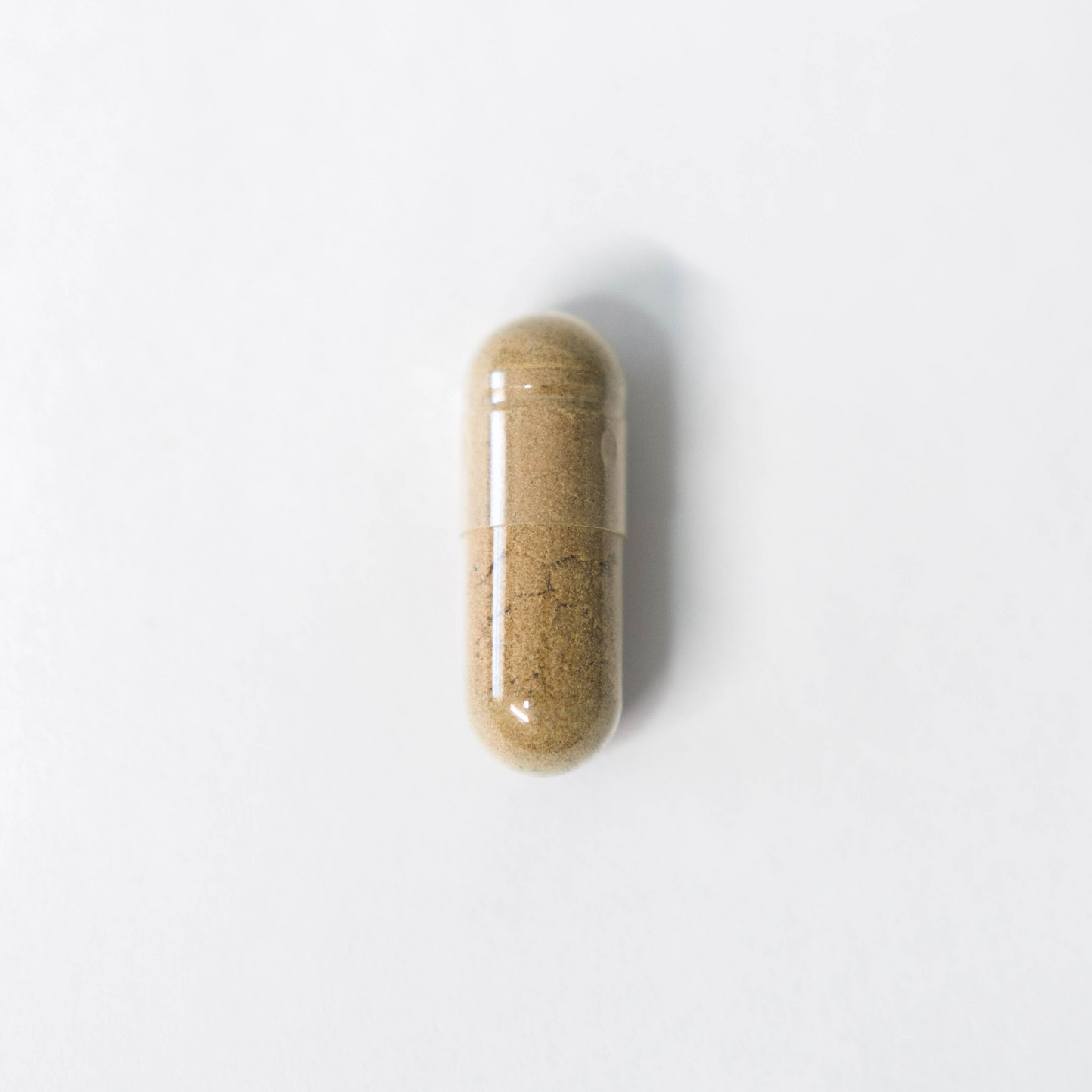 Blue Shroom | Brain Boosting Mushrooms | USP Grade Methylene Blue Capsules