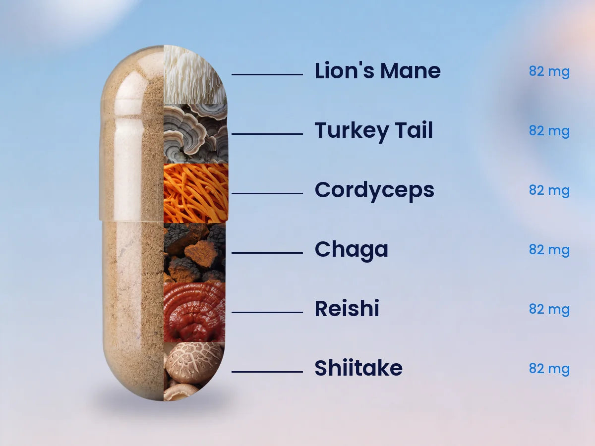 A Blue Shroom capsule opened to show its six mushrooms: Lion's Mane, Turkey Tail, Cordyceps, Chaga, Reishi and Shiitake