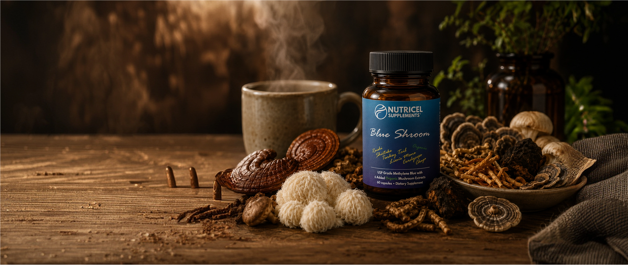 Mushroom Power. Zero Stimulants. 