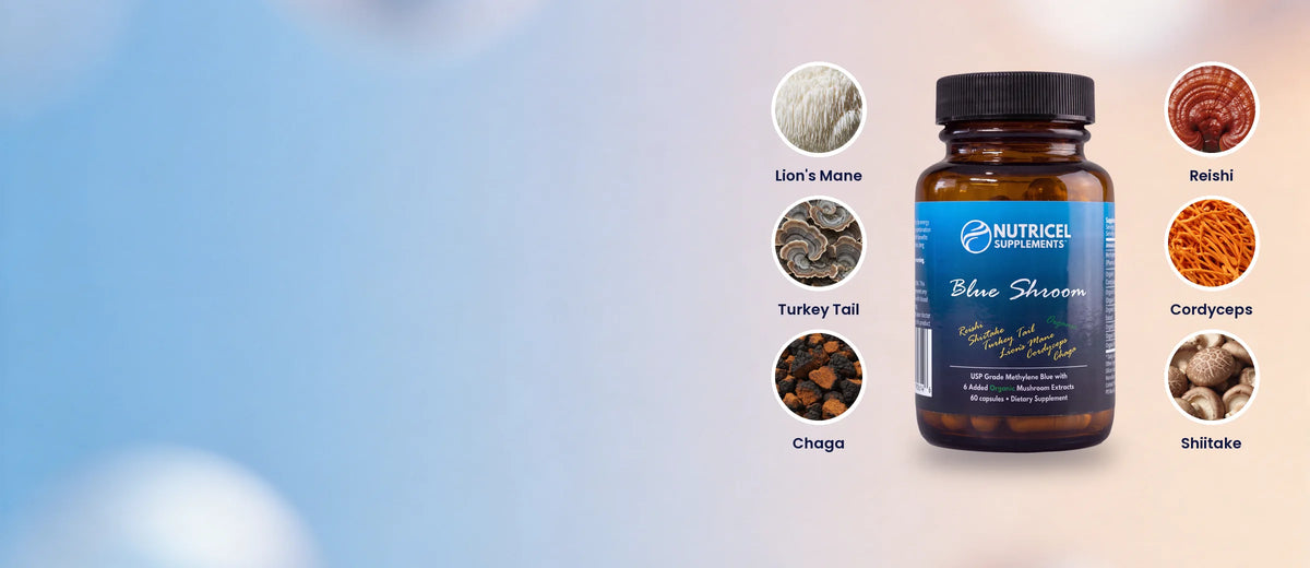 Blue Shroom bottle surrounded by its six mushrooms: Lion's Mane, Turkey Tail, Chaga, Reishi, Cordyceps and Shiitake