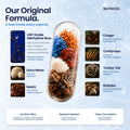 Blue Shroom | Methylene Blue + 6 Mushroom Extracts — Nutricel