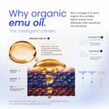 An infographic titled 'Why organic emu oil' explaining the benefits of organic emu oil, featuring a large golden droplet, a cross-section of human skin layers, and comparison charts with coconut oil and castor oil.
