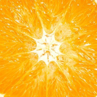 Vitamin C Ester